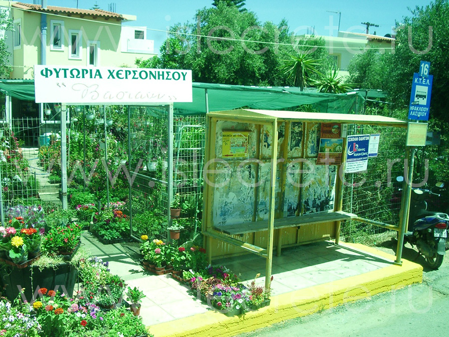 Фото: Автобусная остановка на Крите